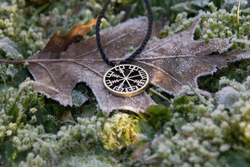 Vegvizir, runic compass, mascot to find the way.
