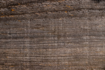 wood grain close up texture