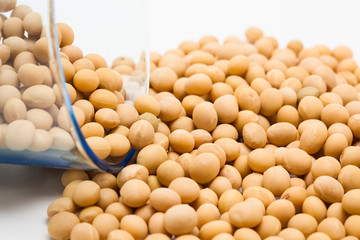 Dried soy beans