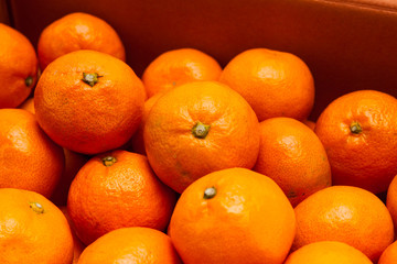 Close orange group Mandarin tangerine