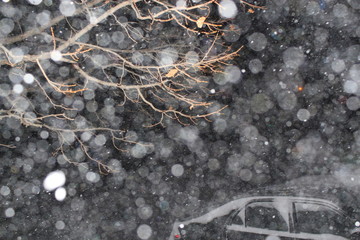 Photos of nature taken across the United States