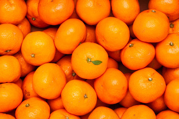 A pile of organic fresh juicy mandarin oranges