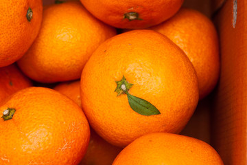 Close up of pile of fresh juicy mandarin oranges