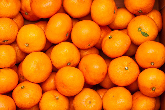 A Pile Of Organic Fresh Juicy Mandarin Oranges