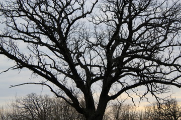 Outdoor pictures taken all around the United States