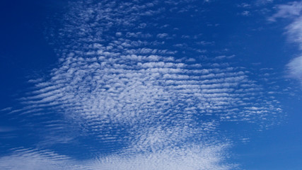 Fair-weather clouds on a sunny warm evening with blue sky