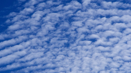 Fototapeta na wymiar Fair-weather clouds on a sunny warm evening with blue sky