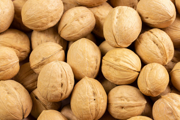 Pile of walnuts in shell, background wallpaper close-up. Nuts structured walnut shell texture. Healthy Protein Meal Snack