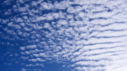 Obraz premium Fair-weather clouds on a sunny warm evening with blue sky