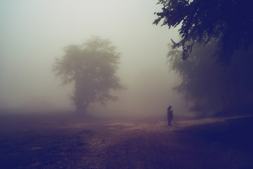Fototapeta premium One tree alone on the horizon with two silhouettes on a mountain range misty fog rainy moody day