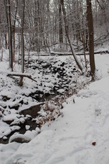Outdoor pictures taken all around the United States