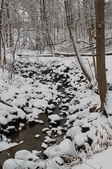 Outdoor pictures taken all around the United States