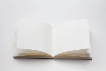 Opened book with blank pages on a white background