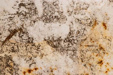 dirty grunge rough wall texture