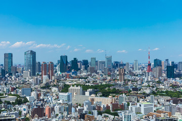 Fototapeta na wymiar (東京都-都市風景)高層ビルラウンジから望む芝方面の風景１