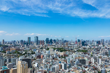 Fototapeta na wymiar (東京都-都市風景)高層ビルラウンジから望む芝方面の風景２