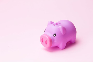  Pupple piggy bank on pink background 