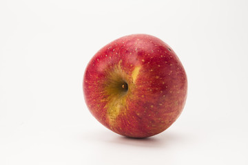Red apple on white