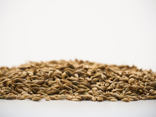 Ears of wheat and wheat grains on white background