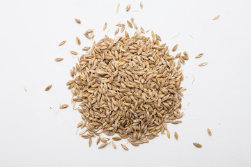 Ears of wheat and wheat grains on white background