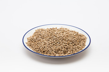 Ears of wheat and wheat grains in a plate