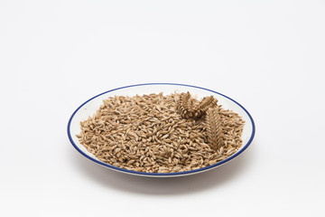 Ears of wheat and wheat grains in a plate