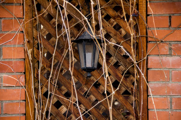 lantern hanging on the wall of the arbor. Arbor entwined with stems of grapes without leaves.