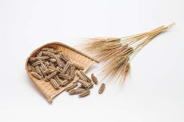 Ears wheat rye barley isolated 