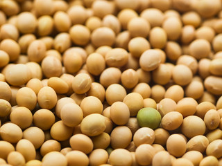  Background view of dried soy beans 