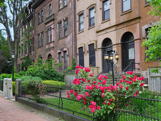 Fototapeta na wymiar old brownstone type apartment buildings on a shady street with front gardens and rose bush
