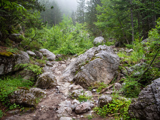 A fascinating and difficult walk while climbing Mount Olympus in Greece