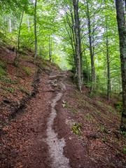 A fascinating and difficult walk while climbing Mount Olympus in Greece