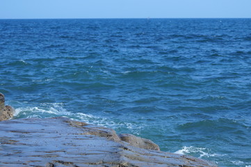 長谷寺の植物、花、紫陽花