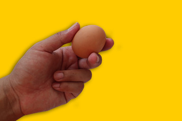 egg in hand