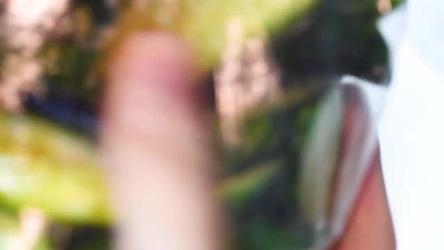 きゅうりの浅漬けを作る