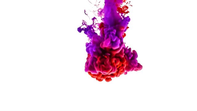 Red and purple paint forming thick, inky pink, blue and purple clouds in clear water against a white background