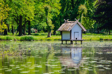 Fototapeta premium tiny bird house on sea