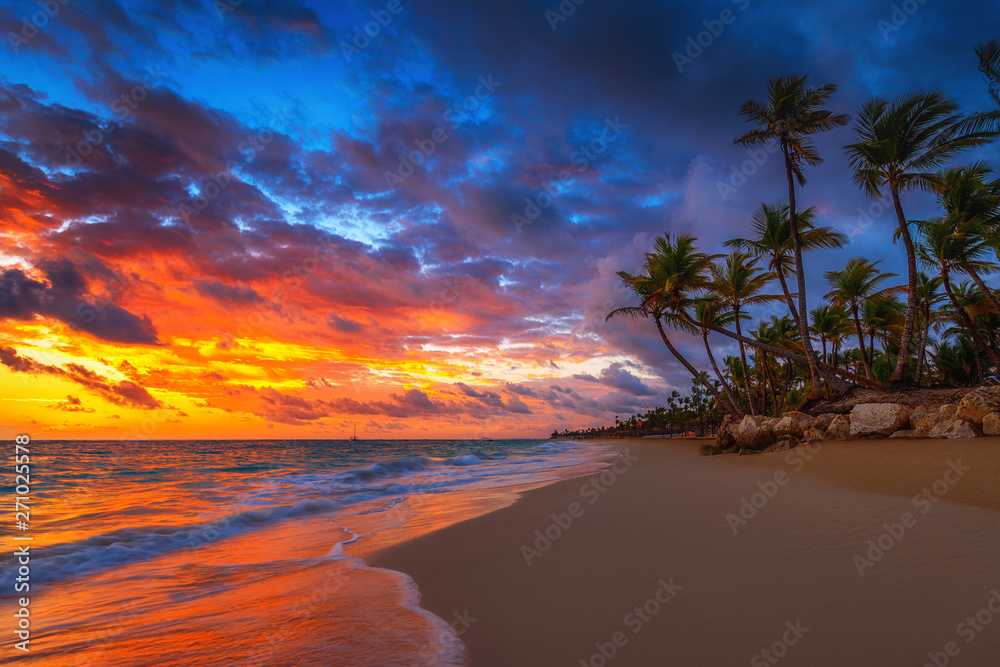 Wall mural palm trees and tropical beach in punta cana, dominican republic