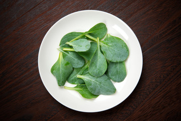 オイスターリーフ