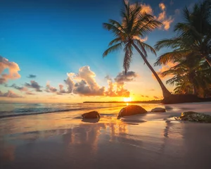 Zelfklevend Fotobehang Palmboom en tropisch strand in Punta Cana, Dominicaanse Republiek © ValentinValkov