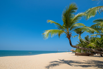 Obraz na płótnie Canvas Beautiful tranquil scenery of tropical landscape sea view and palm tree on sand beach. Travel inspirational, Summer holiday and vacation concept for tourism relaxing.