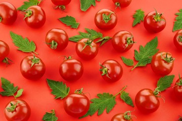 tomato pattern. Fresh ripe  tomatoes set with green leaves on red background.Vegetable natural background.Top view.modern  food backdrop.
