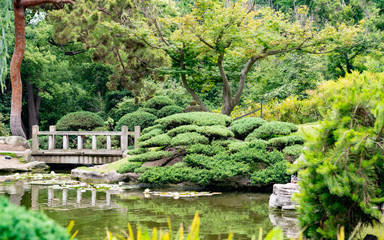 Fototapeta na wymiar japanese garden with trees and pond