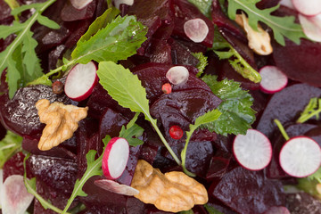Salad of young beets, top view, close up