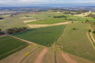 Fototapeta na wymiar Cowra Rural Landscape - Central West NSW Australia