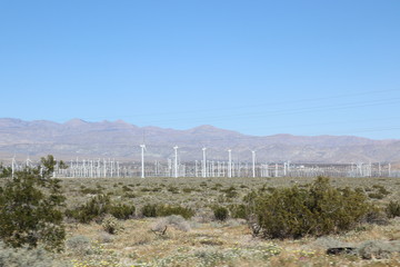 wind farm