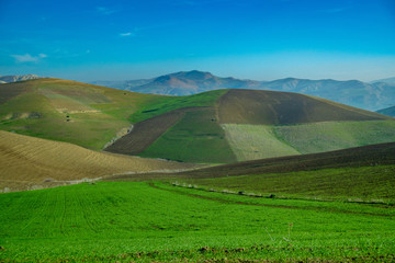 Fototapeta premium 田園地帯