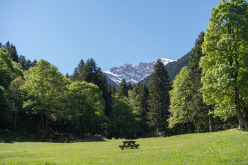 Fototapeta na wymiar Marguareis Group, Ligurian Alps, Piedmont, Italy