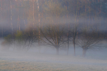 Dwie mgły © Tomek Kiecana