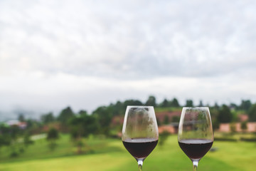 Drinking wine at beautiful garden outdoor sky mountains scenery views 